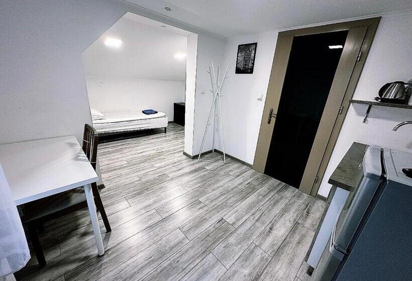 חדר סטנדרט יחיד, Apartamenty Retro