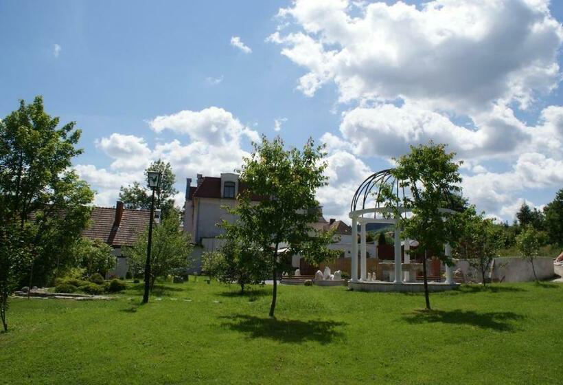 Номер Стандарт, Dworek Galosa