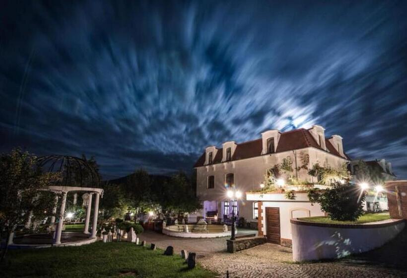 Семейное Студио, Dworek Galosa