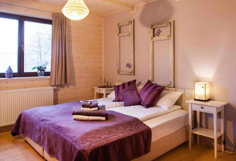 スタンダードルーム, Sirvis Apartamenty