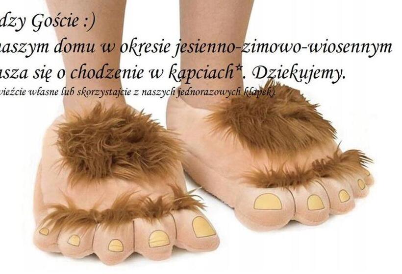 اتاق عادی, Willa Jodła Wisła