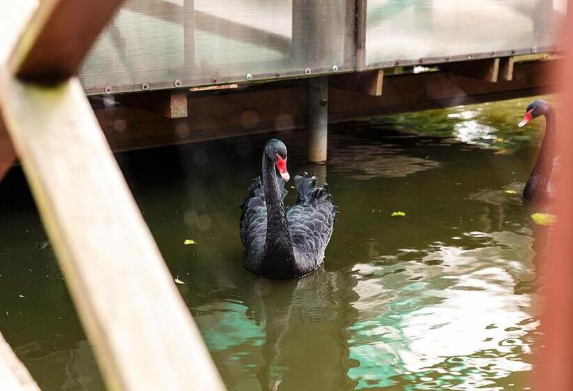 2ベッドルームアパートメント, Apartament Skandynawski