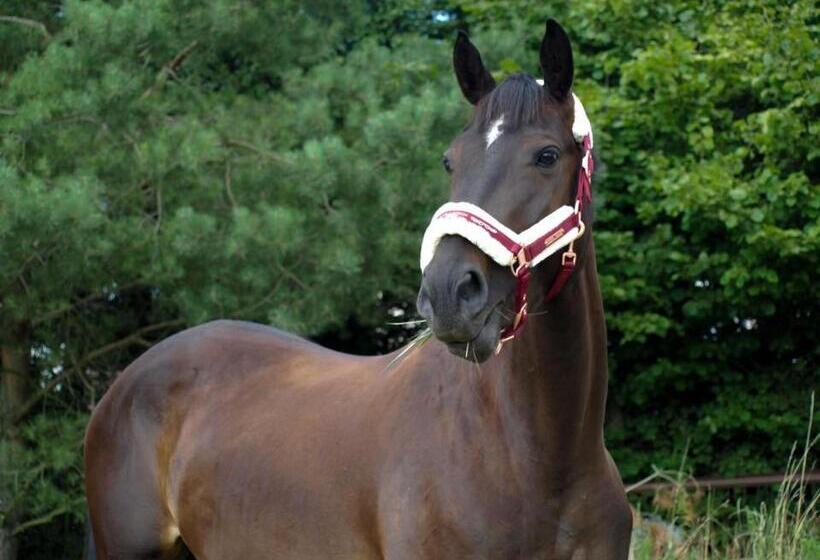 2ベッドルームアパートメント, Apartament Skandynawski