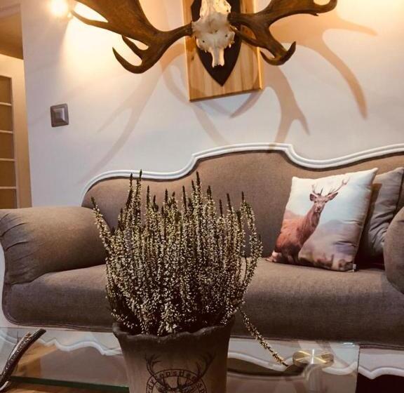 2ベッドルームアパートメント, Apartament Skandynawski