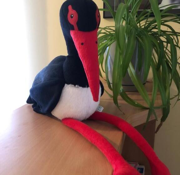 标准三人间, Leśny Dwór