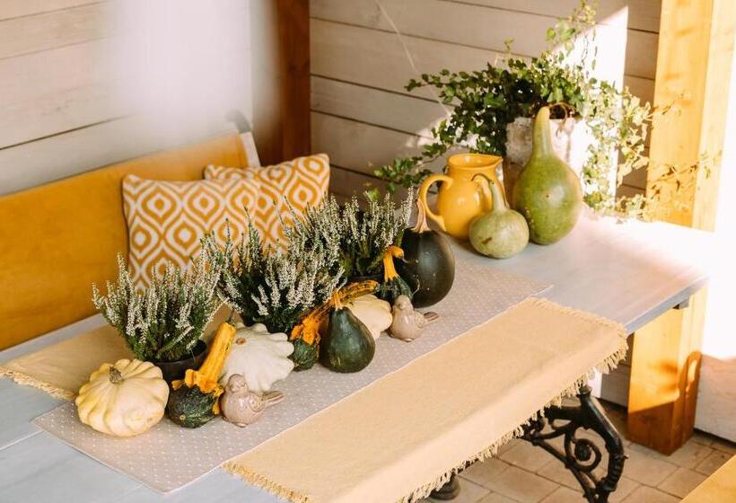 スタンダードスタジオ, Apartementy   Weranda   Z Ogrodem W Centrum