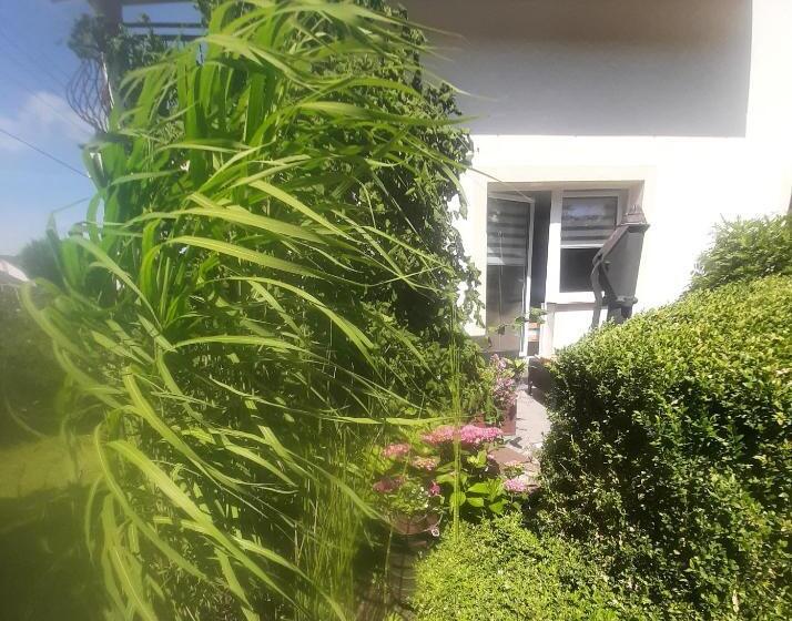 Номер Стандарт Трехместный, Pokoje Gościnne Cuma