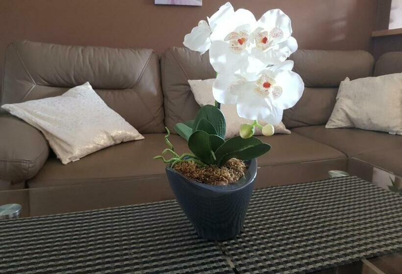 침실 1개 전망 아파트, Butorowy Residence Apartament Górska Orchidea