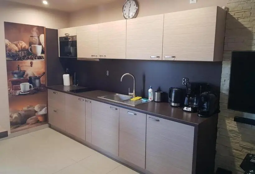 آپارتمان 1 خوابه با چشمانداز, Butorowy Residence Apartament Górska Orchidea