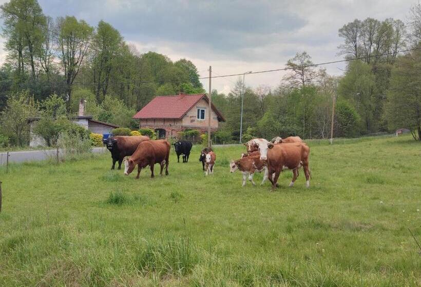 スタンダードトリプルルームの外観-バスルーム, Lusatia Farm