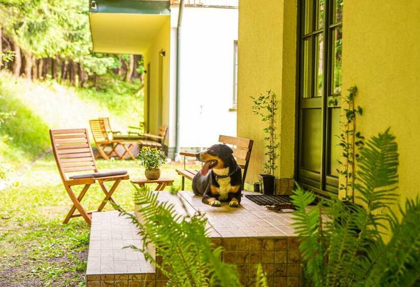 חדר סטנדרט, Willa Puchaczówka