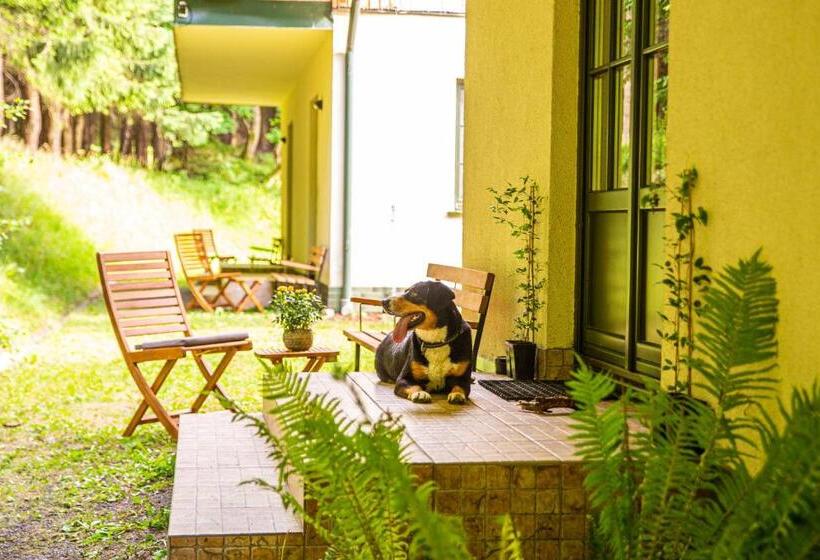 חדר סטנדרט לשלושה, Willa Puchaczówka