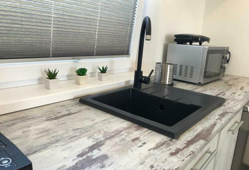 バルコニー付き1ベッドルームアパートメント, Sunsar