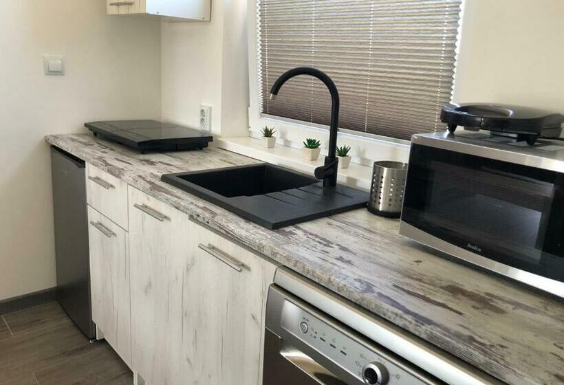 バルコニー付き1ベッドルームアパートメント, Sunsar