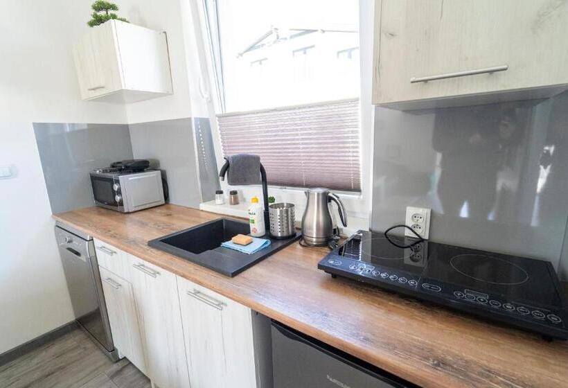 バルコニー付き1ベッドルームアパートメント, Sunsar