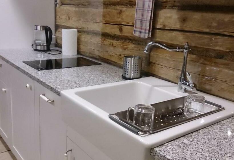 شقة ديلوكس غرفة واحدة, Willa Jasna Apartamenty Centrum Zakopane