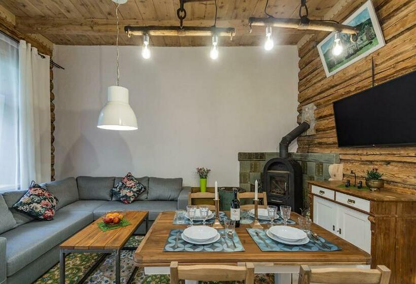شقة ديلوكس غرفة واحدة, Willa Jasna Apartamenty Centrum Zakopane
