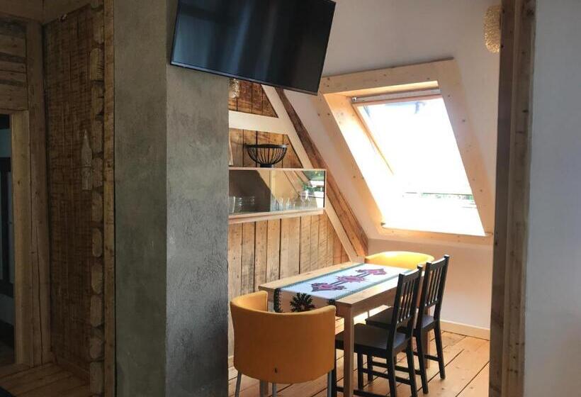 شقة غرفة واحدة, Willa Jasna Apartamenty Centrum Zakopane