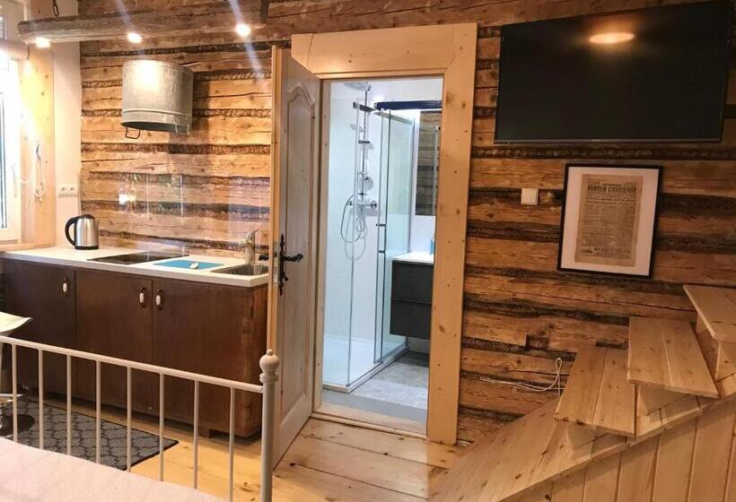 إستوديو ديلوكس, Willa Jasna Apartamenty Centrum Zakopane