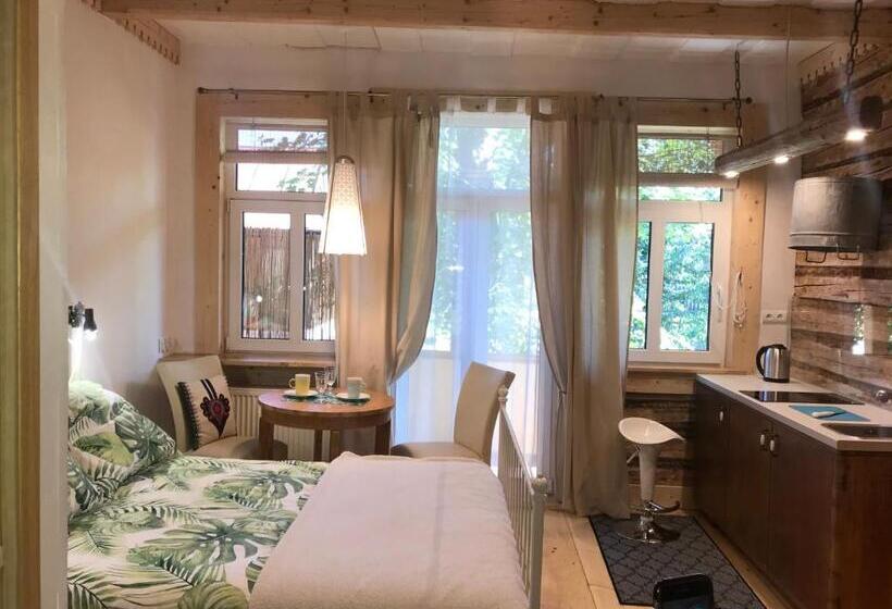 إستوديو ديلوكس, Willa Jasna Apartamenty Centrum Zakopane