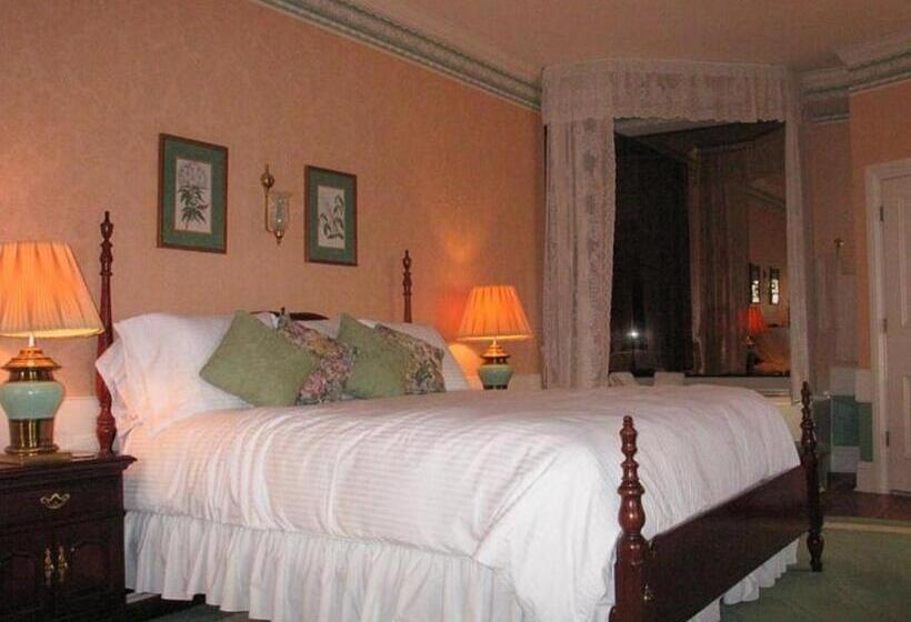 带大床的套房, Birdinhand Village Inn & Suites