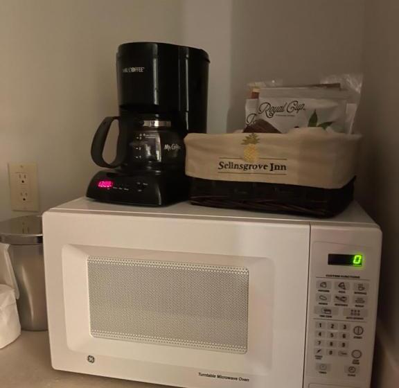 适合残疾人士使用的带超级大床的标准间, Selinsgrove Inn