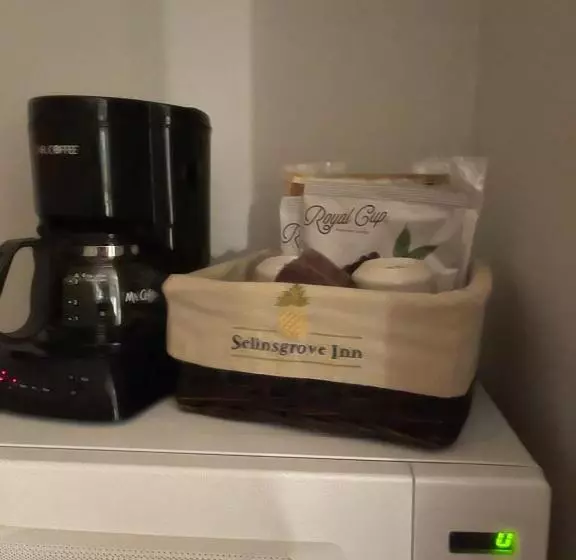身障者適用キングサイズベッドルーム, Selinsgrove Inn