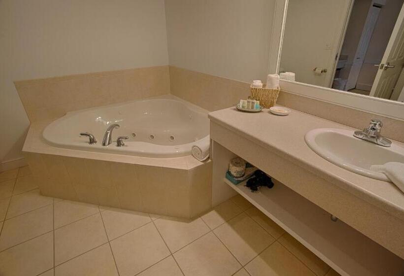 带大床的标准间, Selinsgrove Inn