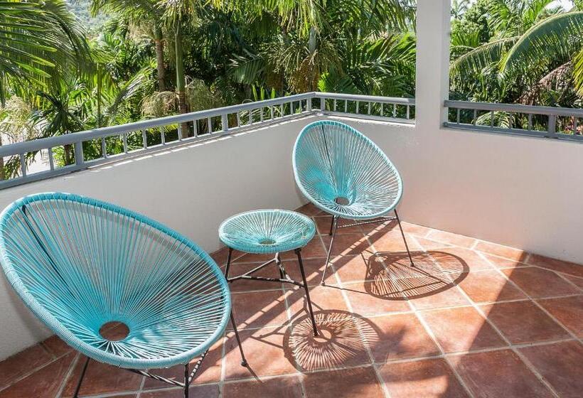 １ベッドルームのスーペリアアパートメント, Oasis At Palm Cove