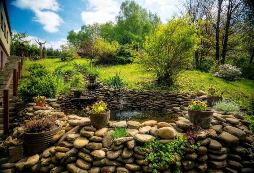 اتاق استاندارد, Krokus