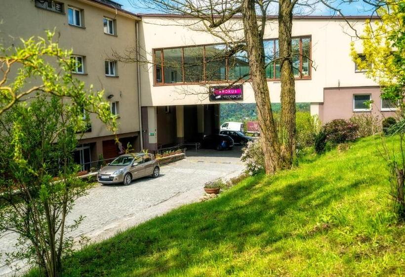 اتاق استاندارد, Krokus