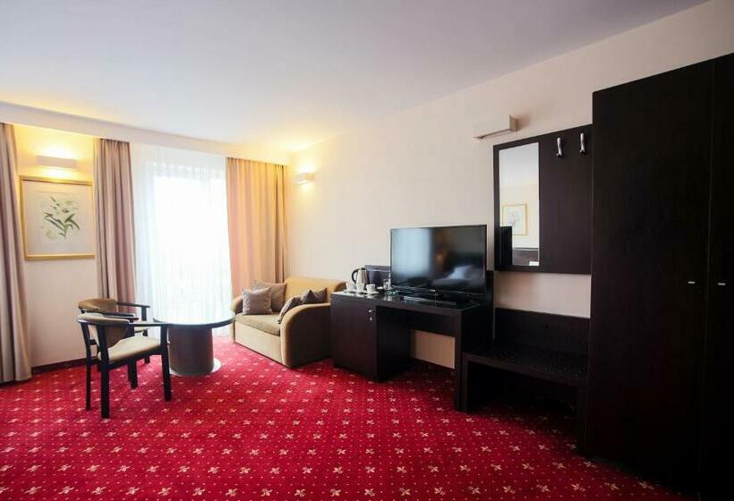 غرفة قياسية, Restauracja Hotel Vip