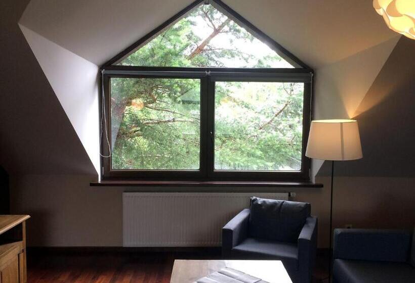 شقة ديلوكس غرفة واحدة, Modryna   Modrzewiowy Dom