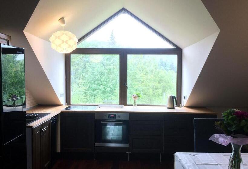 شقة ديلوكس غرفة واحدة, Modryna   Modrzewiowy Dom