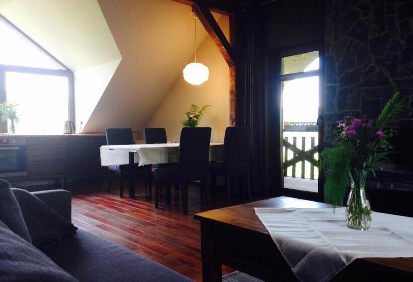 شقة ديلوكس غرفة واحدة, Modryna   Modrzewiowy Dom