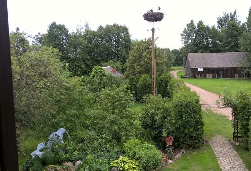 Номер Стандарт, Dom Gościnny Woleninowo