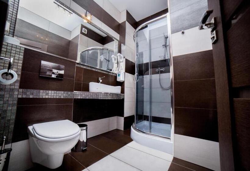 غرفة قياسية فردية, Dwór Olimp