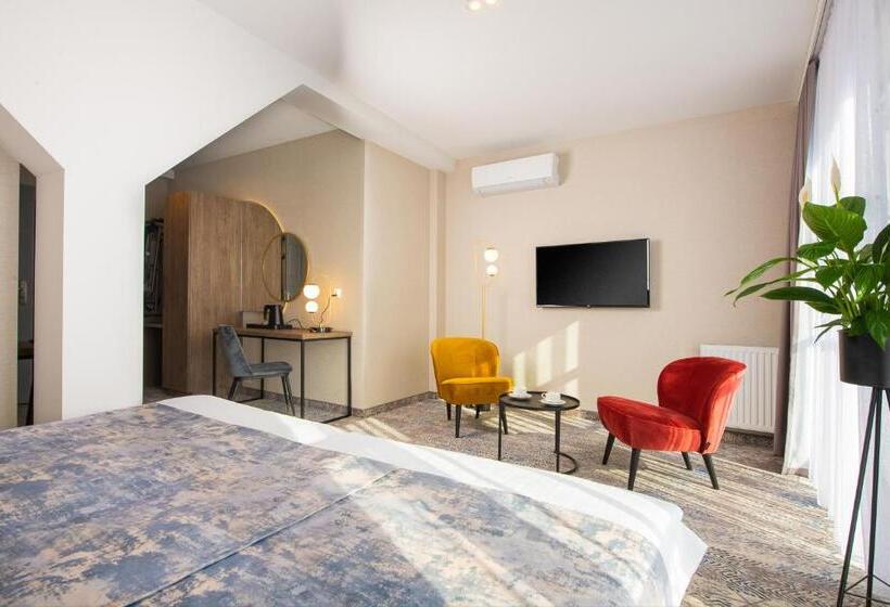 اتاق استاندارد, Mr67 Mayera Rapaporta