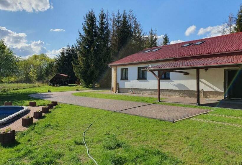 اتاق استاندارد سه نفره, Newland Wójtowicz