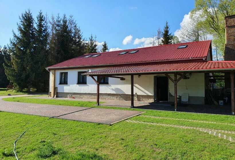 スタンダードトリプルルーム, Newland Wójtowicz