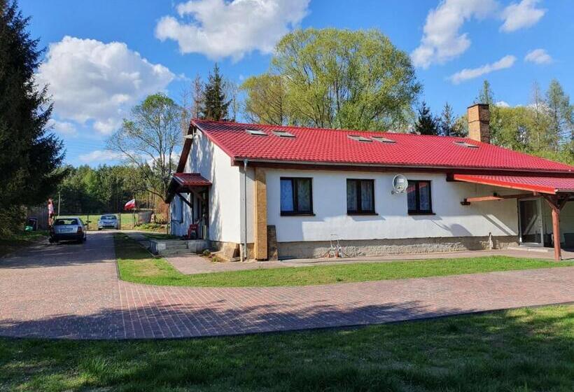 اتاق خانوادگی, Newland Wójtowicz