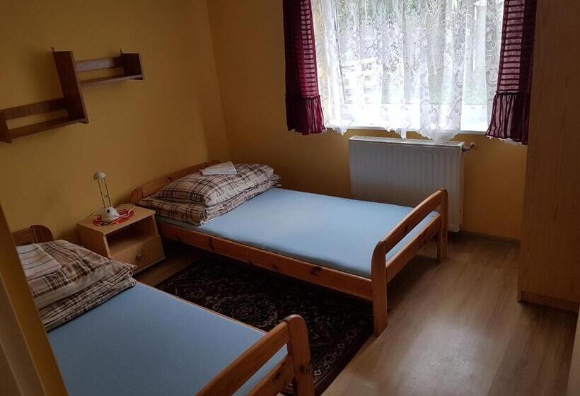 Номер Стандарт, Newland Wójtowicz