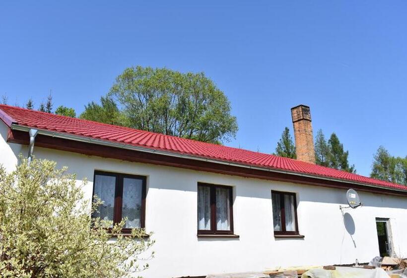 اتاق خانوادگی, Newland Wójtowicz