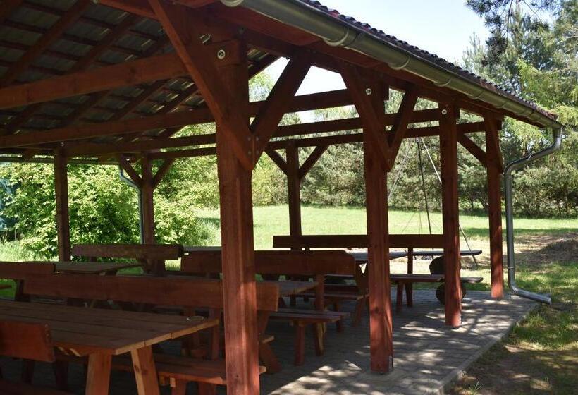 اتاق خانوادگی, Newland Wójtowicz