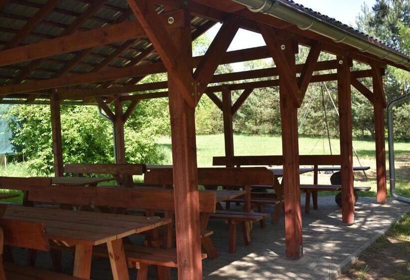 اتاق خانوادگی, Newland Wójtowicz