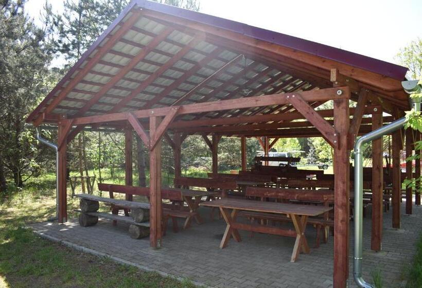 اتاق خانوادگی, Newland Wójtowicz