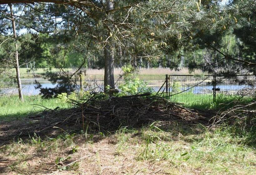 اتاق استاندارد, Newland Wójtowicz