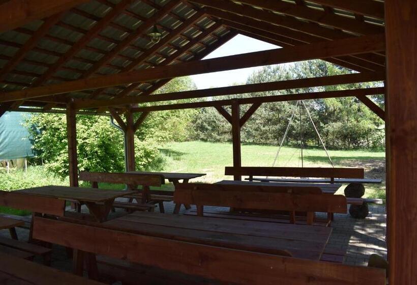 スタンダードルーム, Newland Wójtowicz