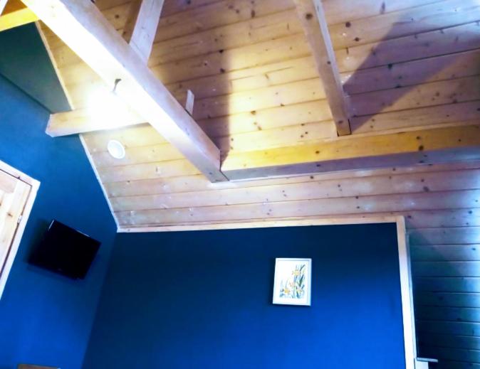 Номер Basic, Villa Beskid