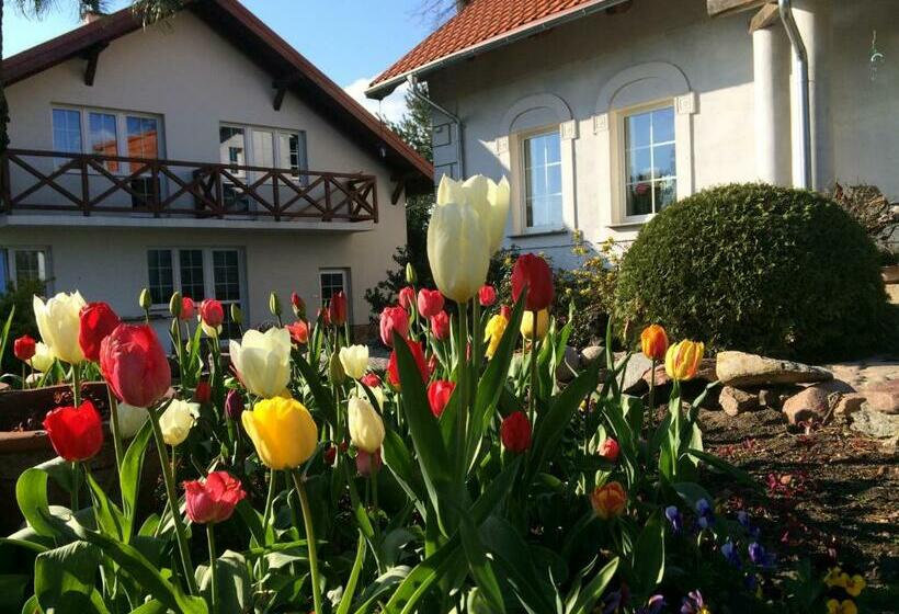 חדר סטנדרטי לארבעה עם חדר אמבטיה משותף, Agroturystyka Orzechowe Wzgórze